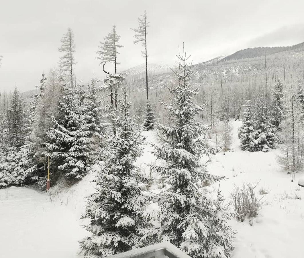 Ubytovanie Pod Gerlachom Vysoké Tatry Εξωτερικό φωτογραφία